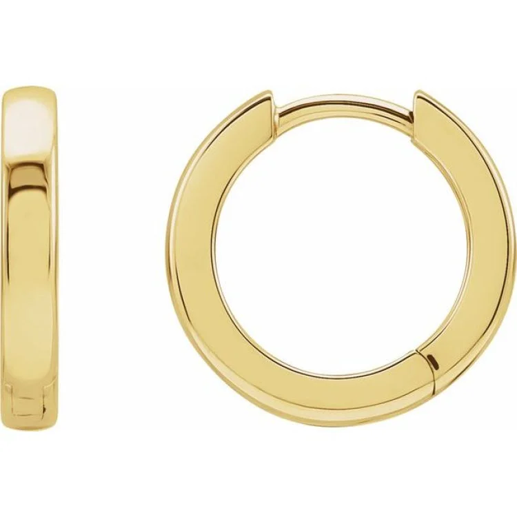 Ladies luxury earrings-14K Yellow Hinged 10 mm Hoop Earrings