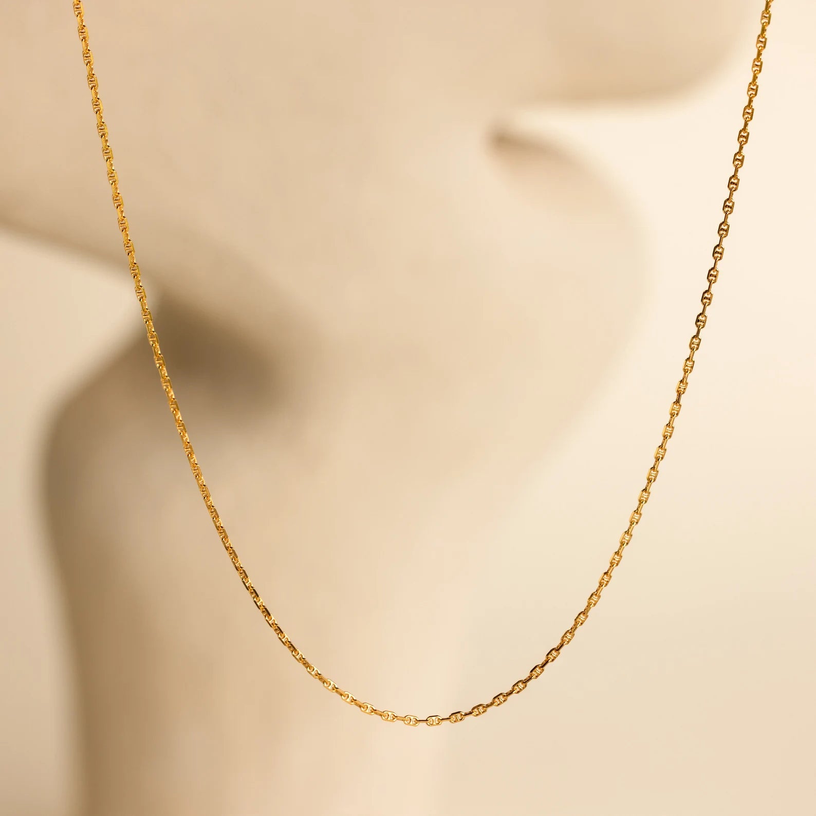 Ladies ruby necklace-Skinny Mariner Chain Necklace